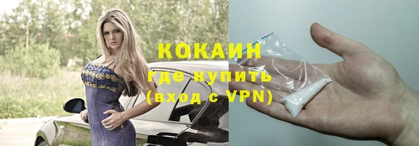 шишки Бородино