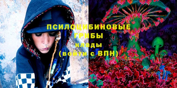 мдпв Володарск