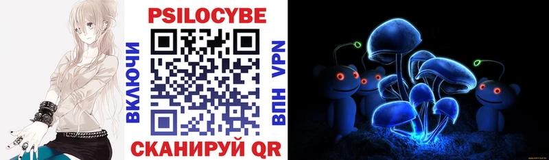 Галлюциногенные грибы Psilocybe  купить наркотики сайты  мега зеркало  Заволжск 